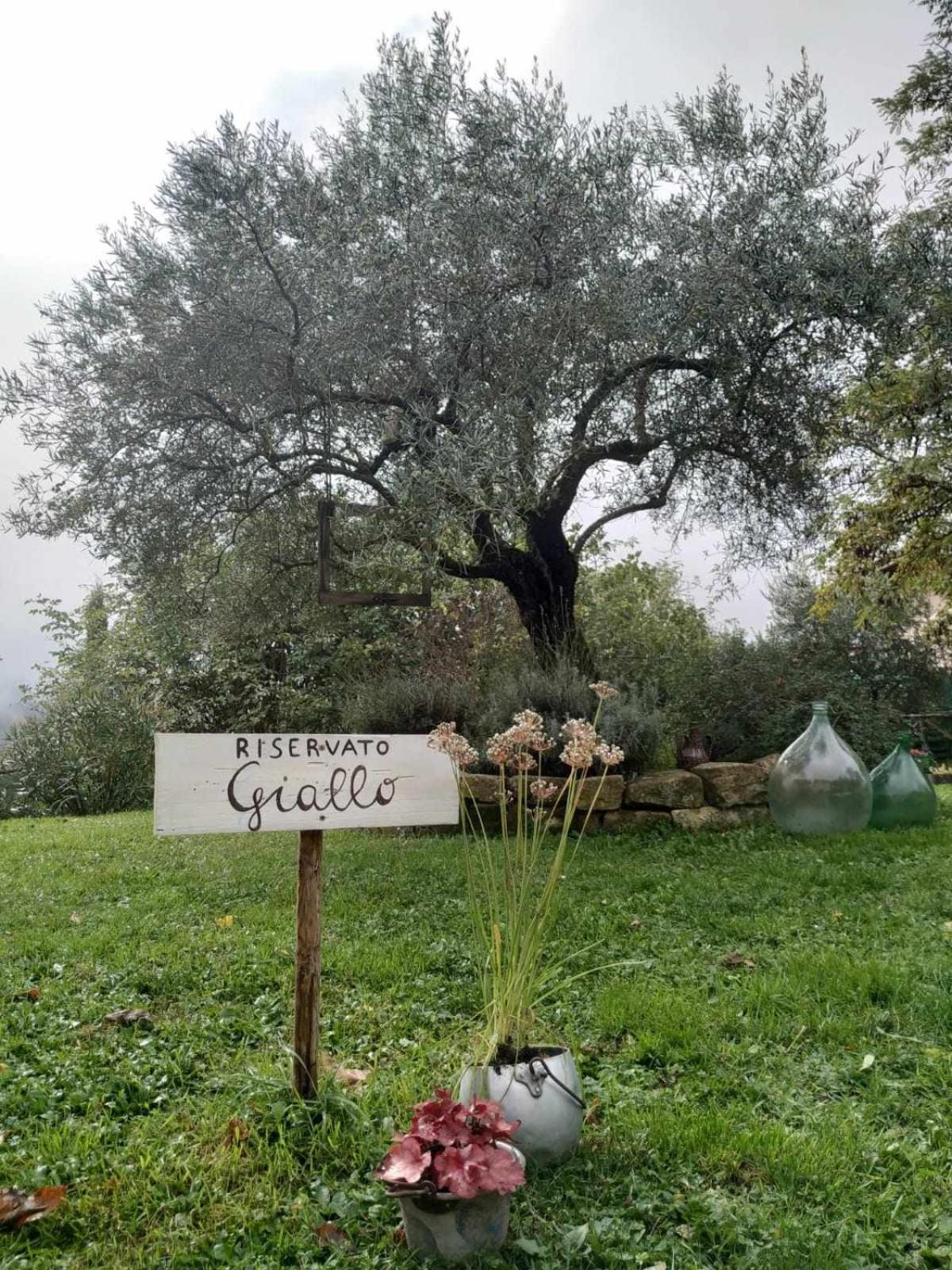 Agriturismo Montesalce Gubbio Exterior foto